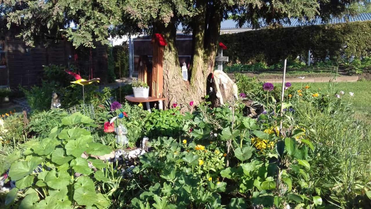 Ferienwohnung Rosenparadies Kröpelin Exterior foto